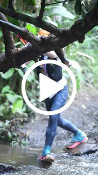 BIB:  <button type="button" onclick="openModal(27824680)" class="btn btn-primary btn-sm float-right" data-toggle="modal" data-target=".modal-high-quality">
                <i class="fa fa-download"></i> Download
                </button>